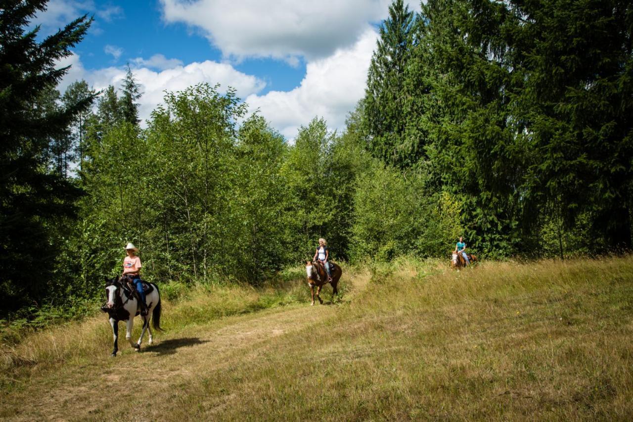 Chehalis Camping Resort Cottage 5 Onalaska Buitenkant foto